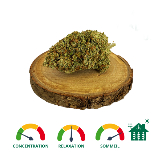 Acheter du cbd lgal pas cher en France, anti douleur, huile en gros O' GARDEN Acheter du cbd lgal pas cher en France, anti douleur, huile en gros O' GARDEN