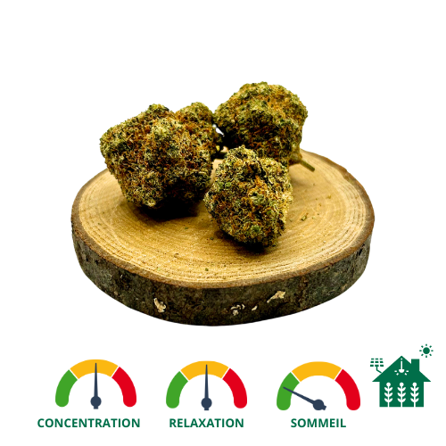 Candy Kush Indoor HE – Fleur CBD Premium