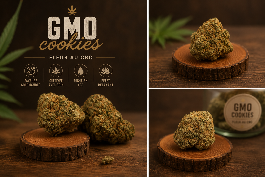 TERRA Cookies CBC
