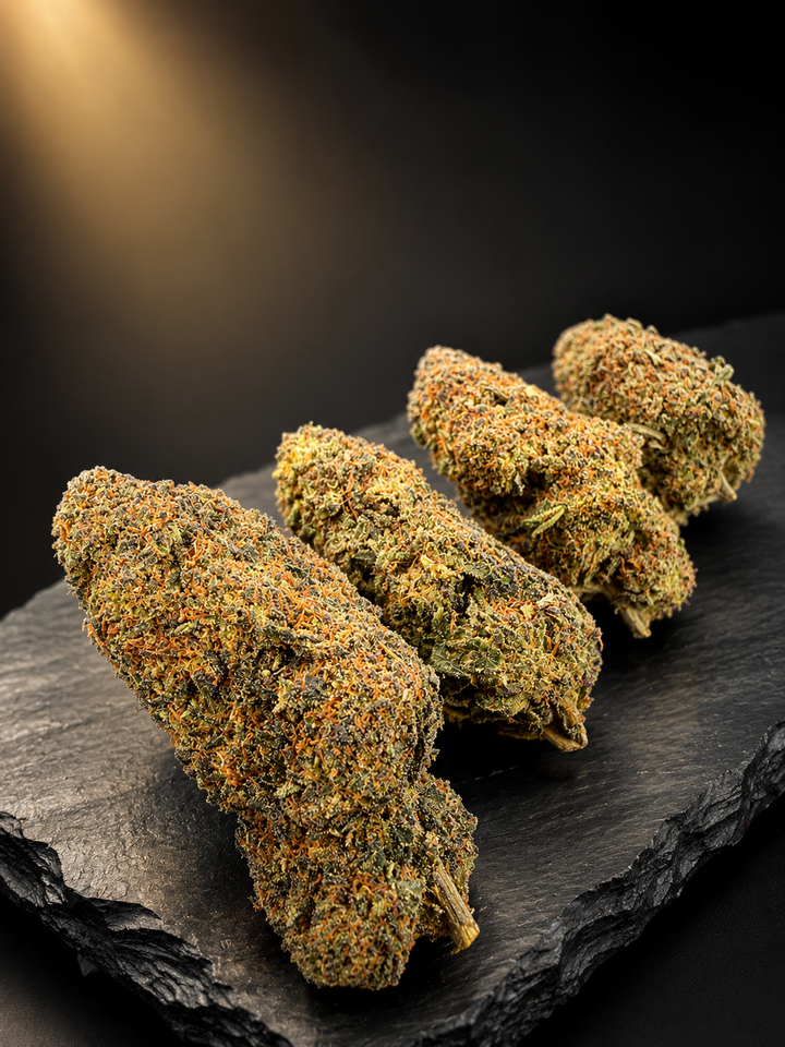 FLEURS TROPICAL GHOST HE INDOOR PREMIUM