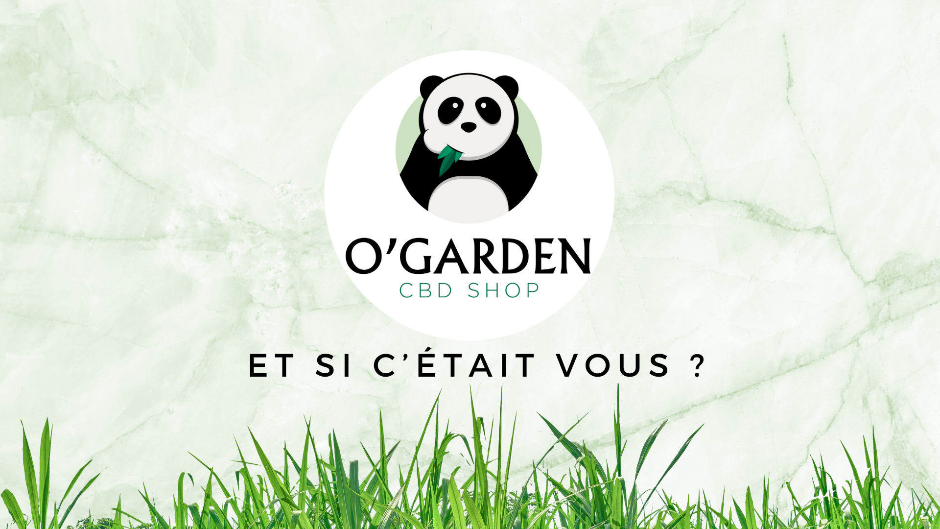 Les CBD shop O'garden O'GARDEN Les CBD shop O'garden O'GARDEN