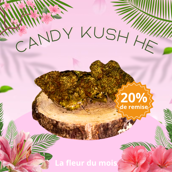 Acheter du cbd lgal pas cher en France, anti douleur, huile en gros O' GARDEN Acheter du cbd lgal pas cher en France, anti douleur, huile en gros O' GARDEN