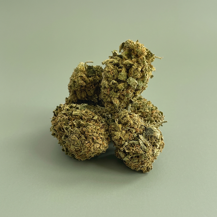 Fleurs White Widow sur fond vert sauge