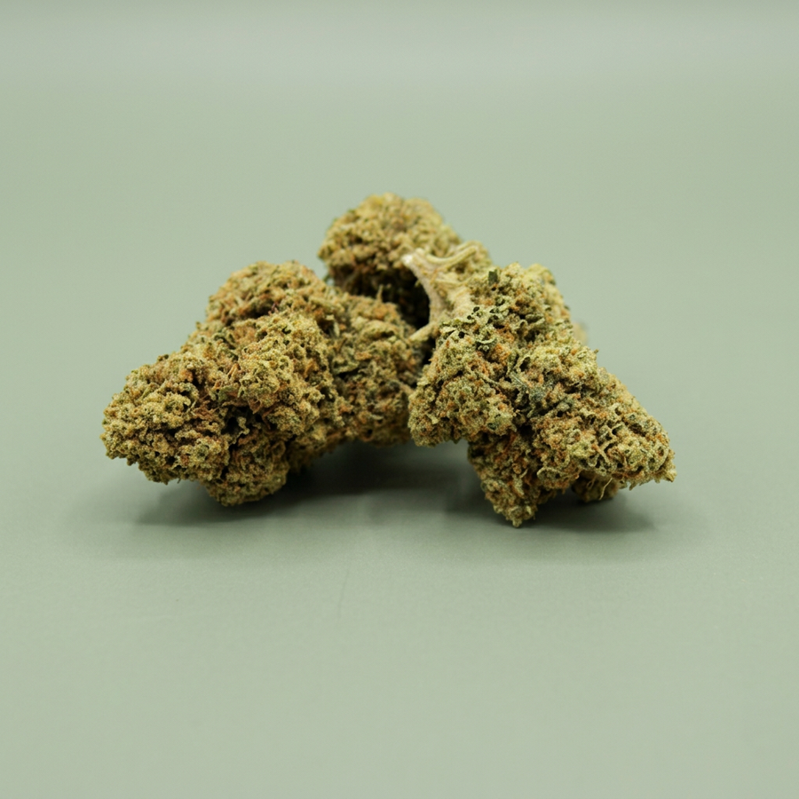Fleurs Skywalker OG sur fond vert sauge
