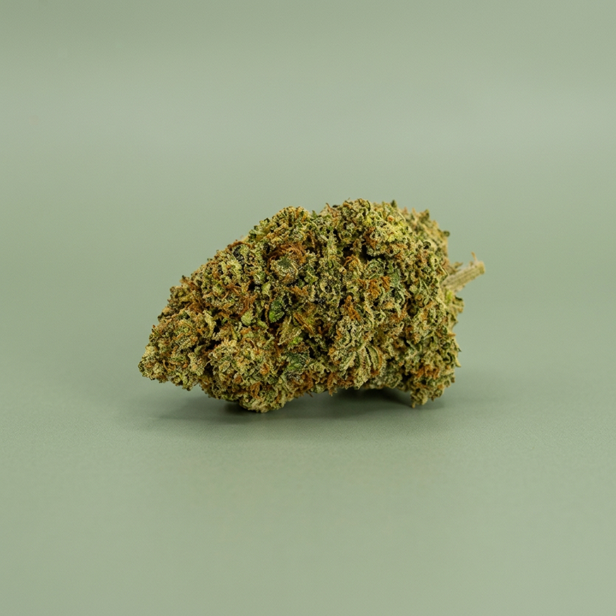 Fleur Alien OG sur fond vert sauge