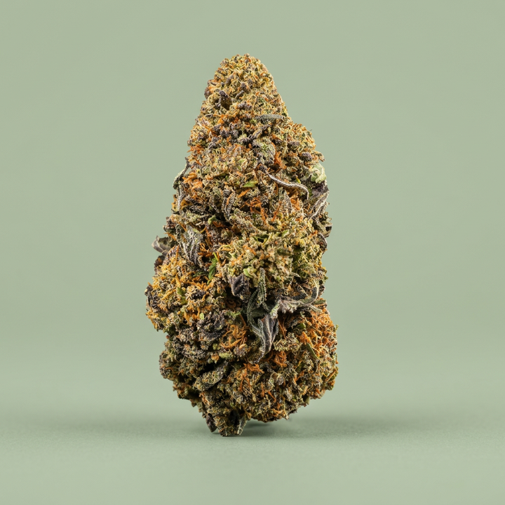 Fleur Tropical Ghost sur fond vert sauge